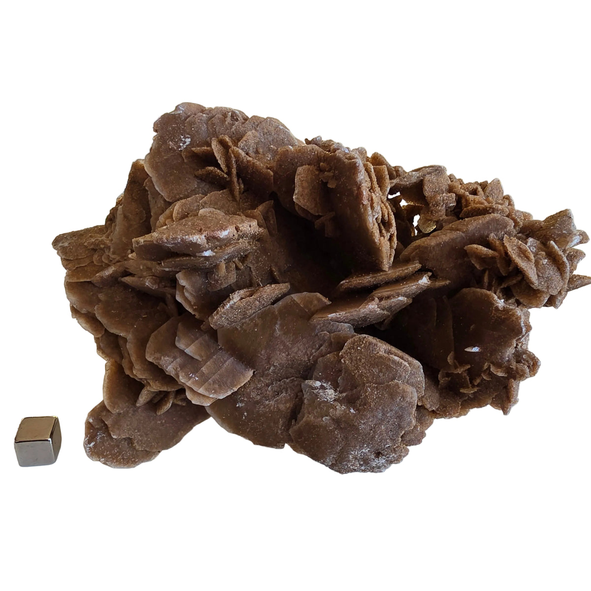 Sandrose 464 gram