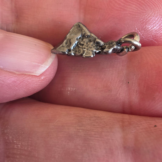 Meteorit Muonionalusta