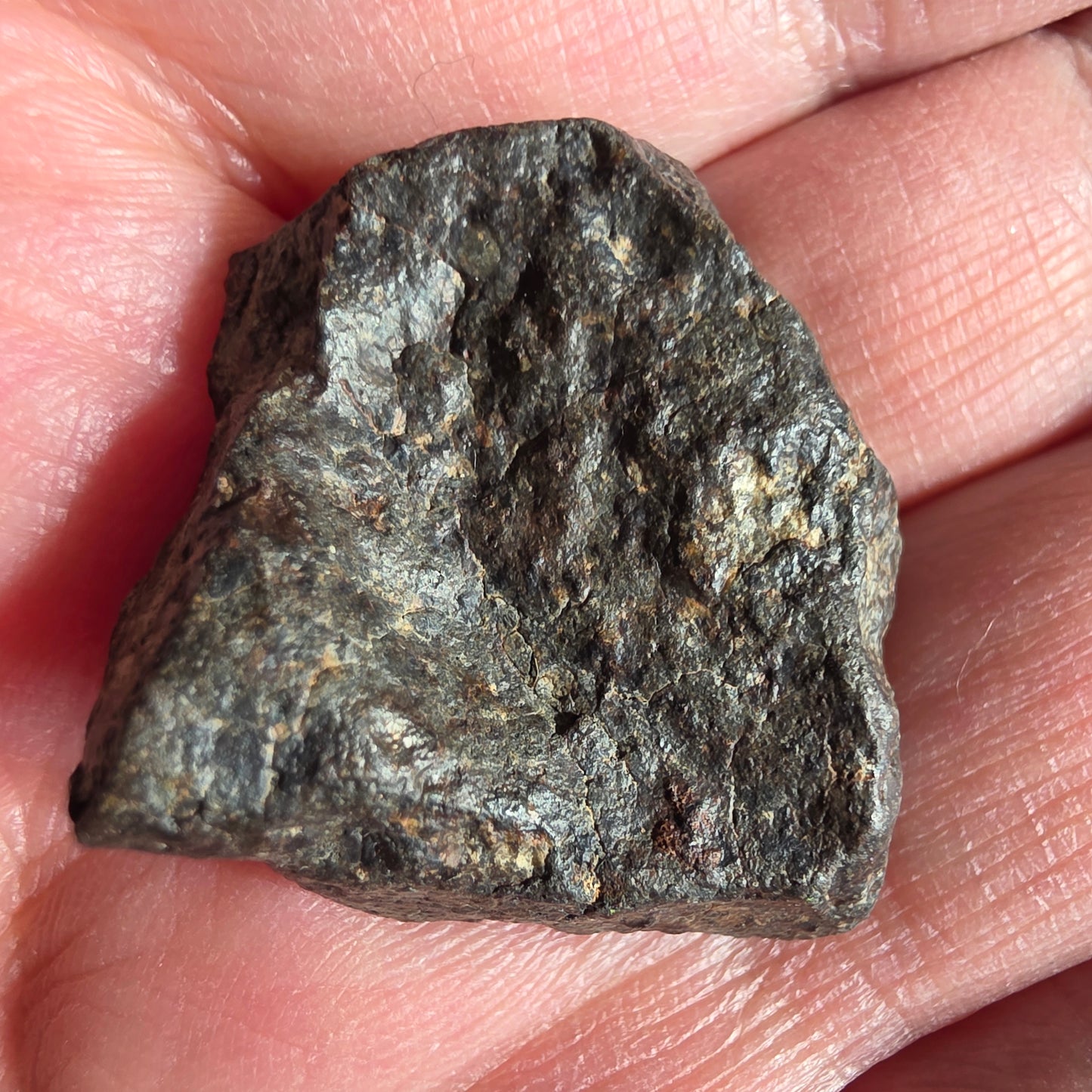 Meteorit