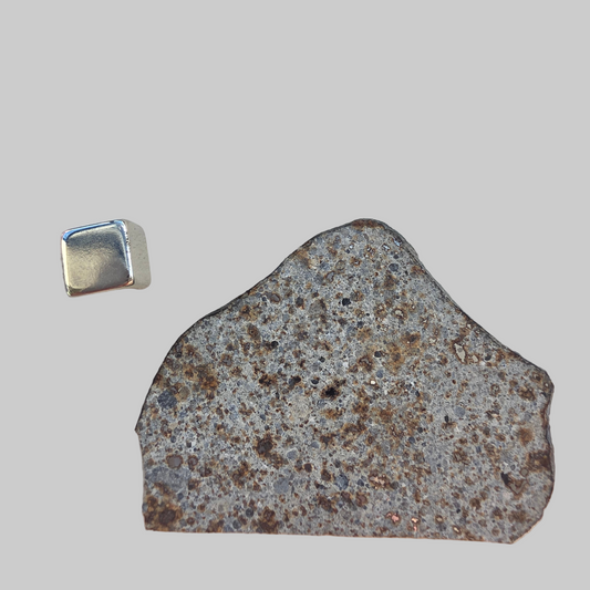Meteorit fra Niger