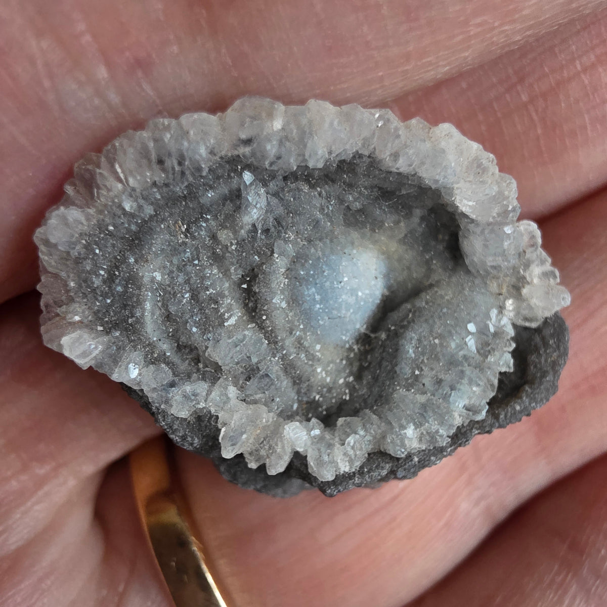 Chalcedon Rose