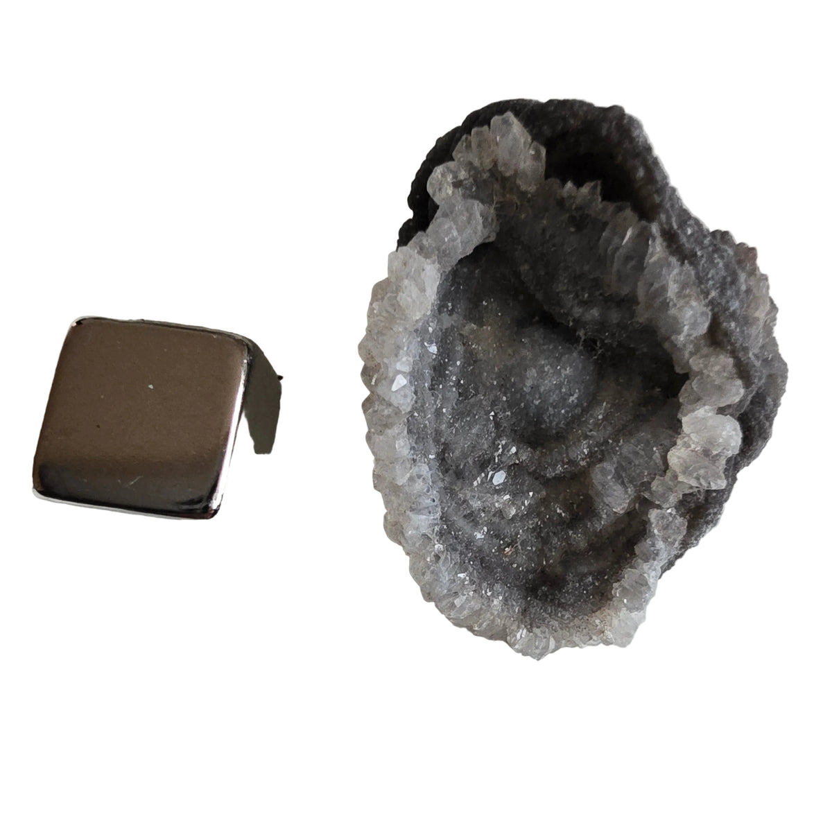 Chalcedon Rose