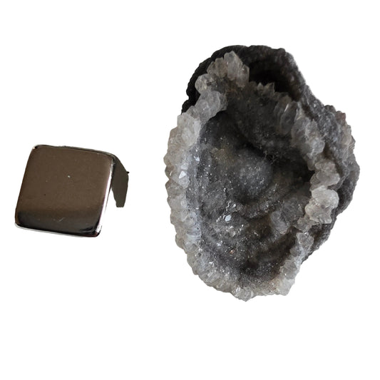 Chalcedon Rose