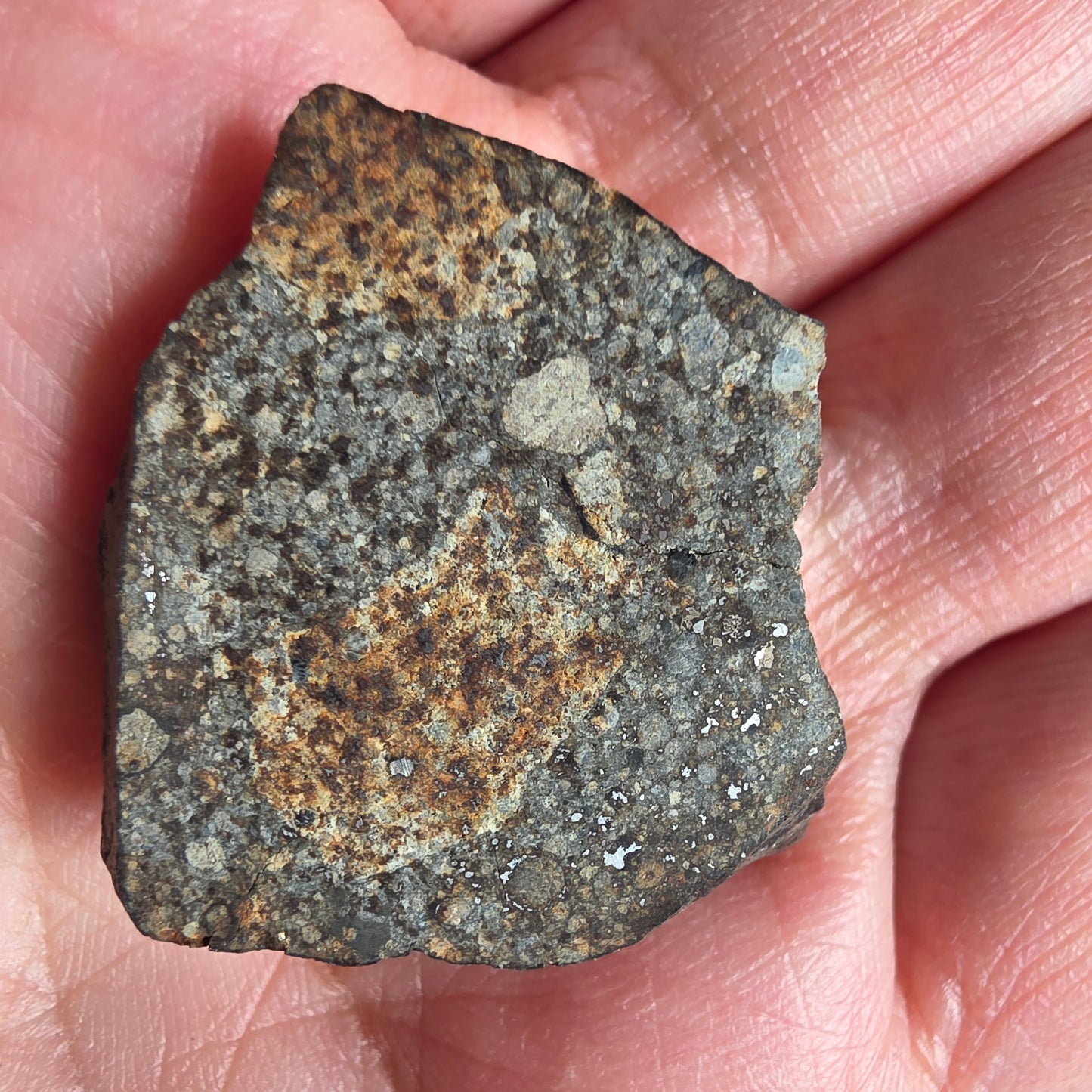 Meteorit