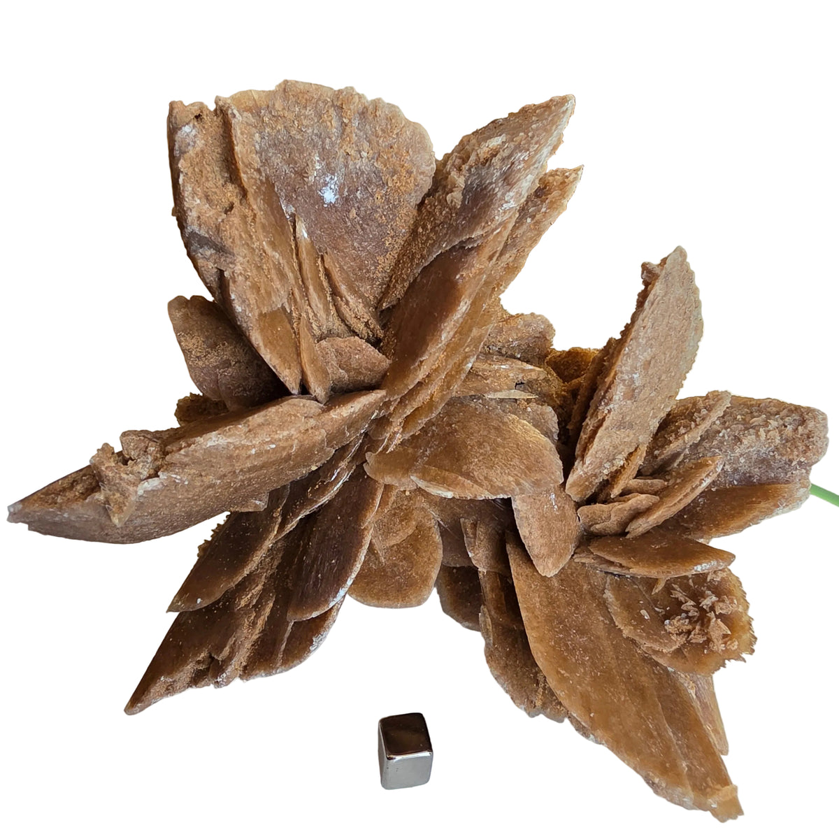 Sandrose 944 gram