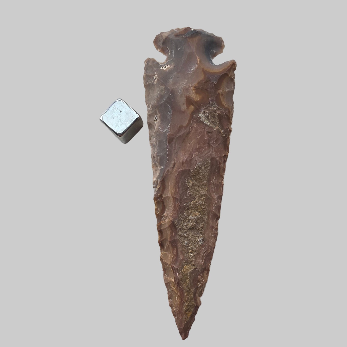 Pilespids Jaspis