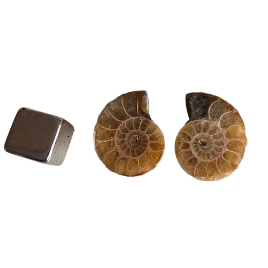 Ammonit opal 2 stk