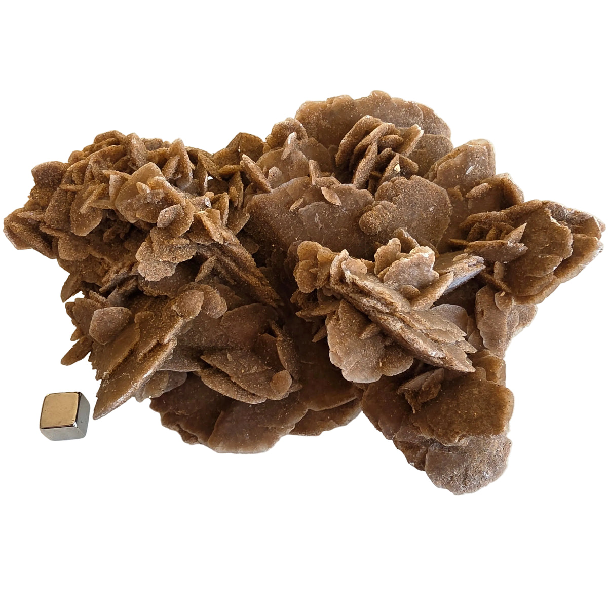 Sandrose 464 gram