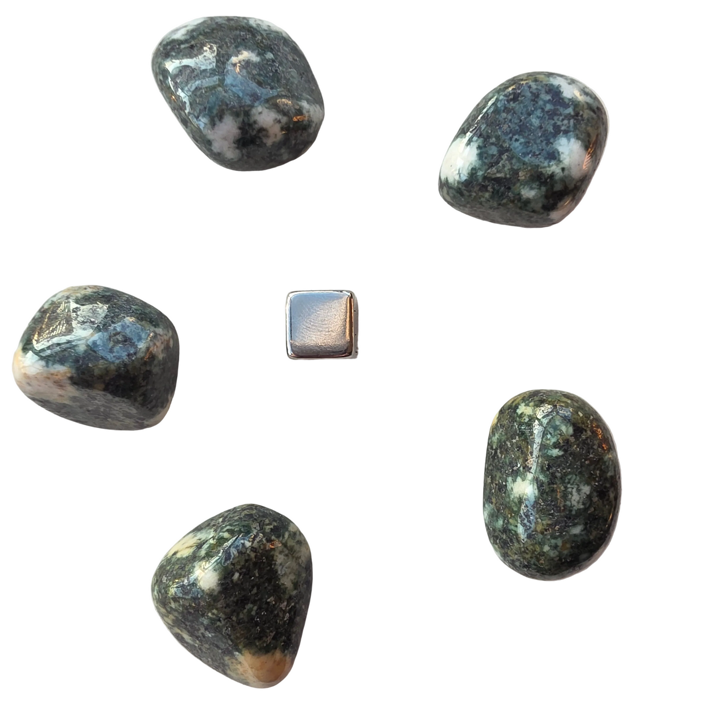 Preseli Bluestone lommesten