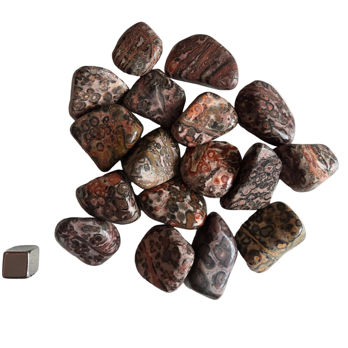 Jaspis Leopard storkøb 133 gram