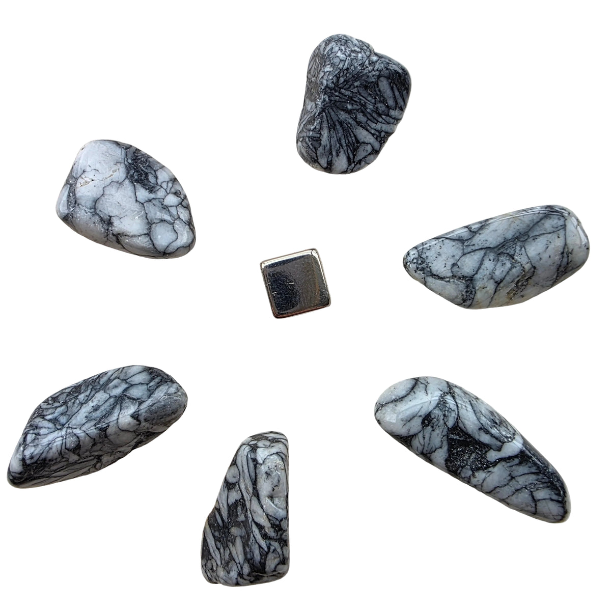 Pinolite