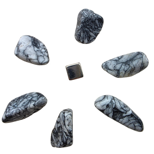 Pinolite