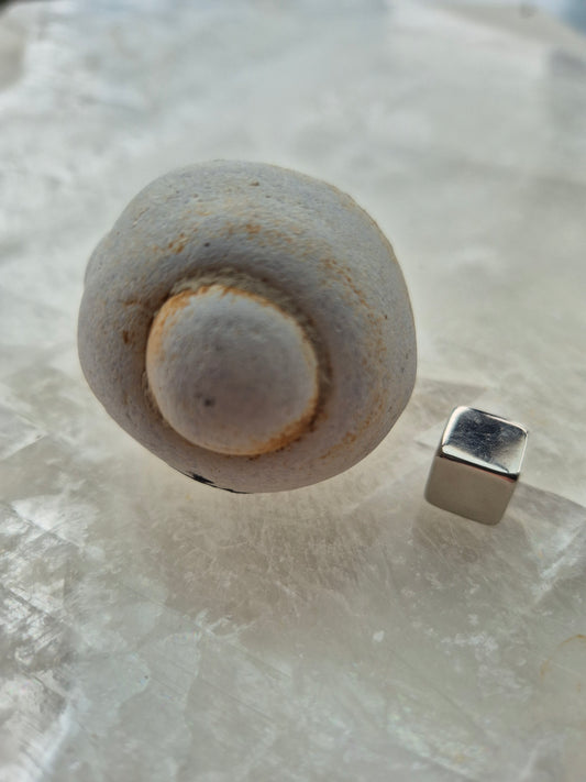 Gogotte/Sandstone