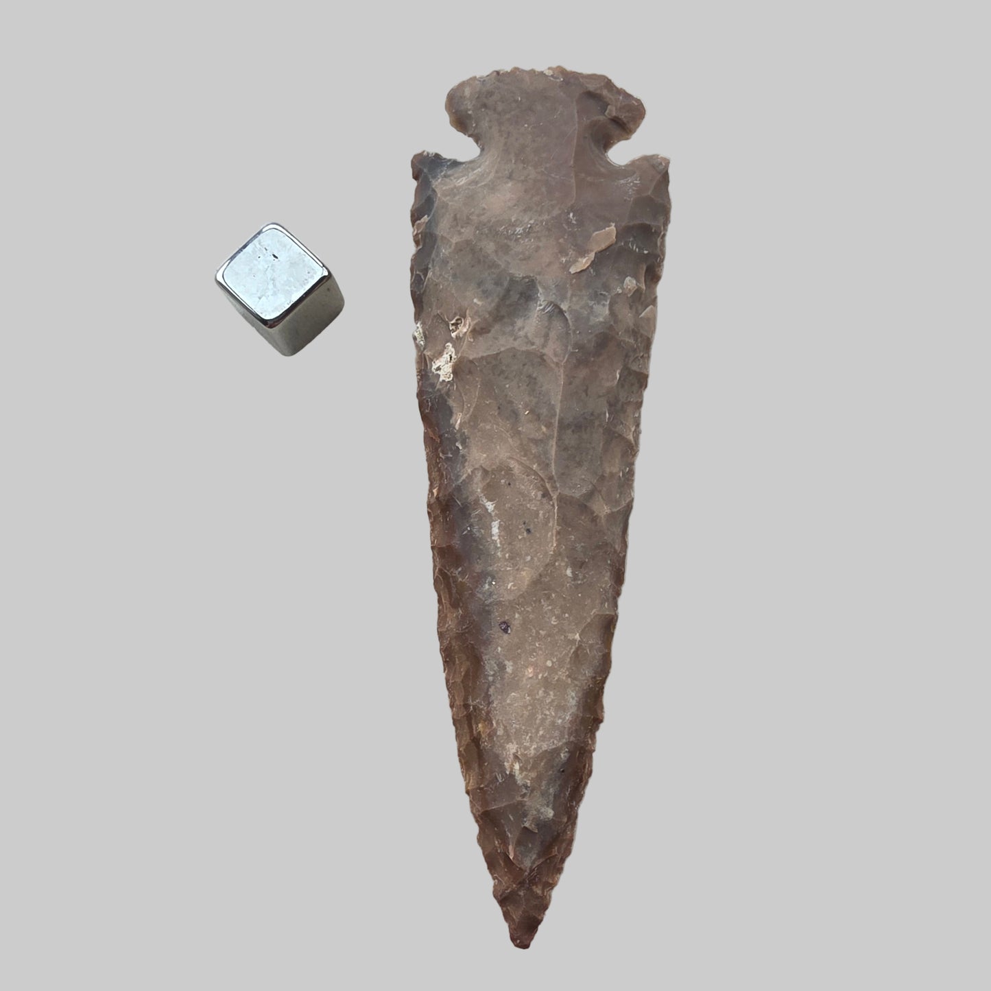 Pilespids Jaspis