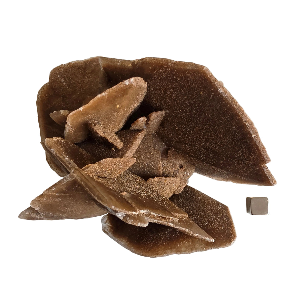 Sandrose 410 gram