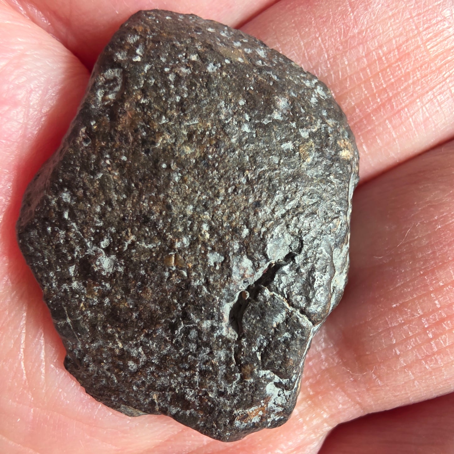 Meteorit