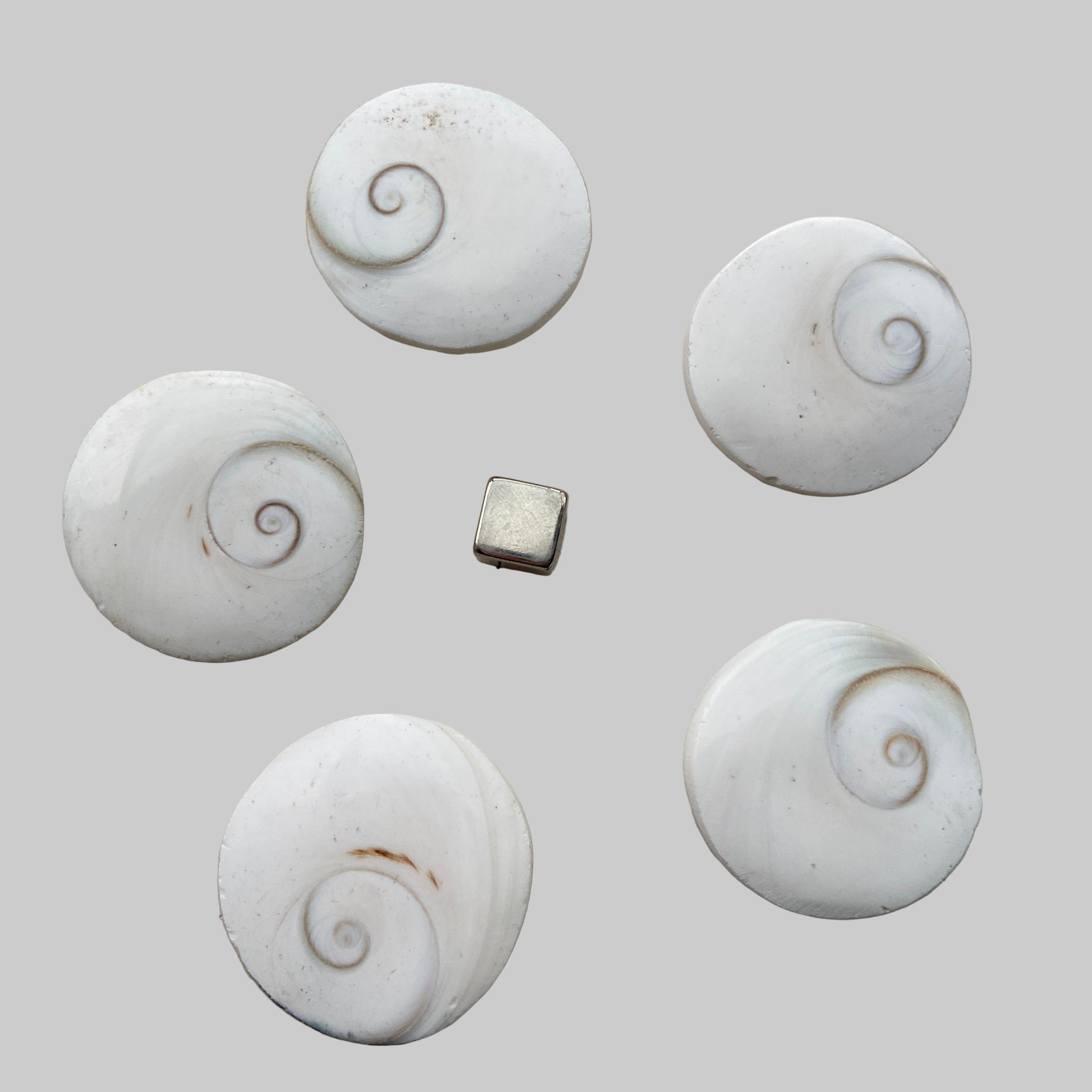 Shivas Øje som kraftfuld beskyttelsessten mod negativ energi.