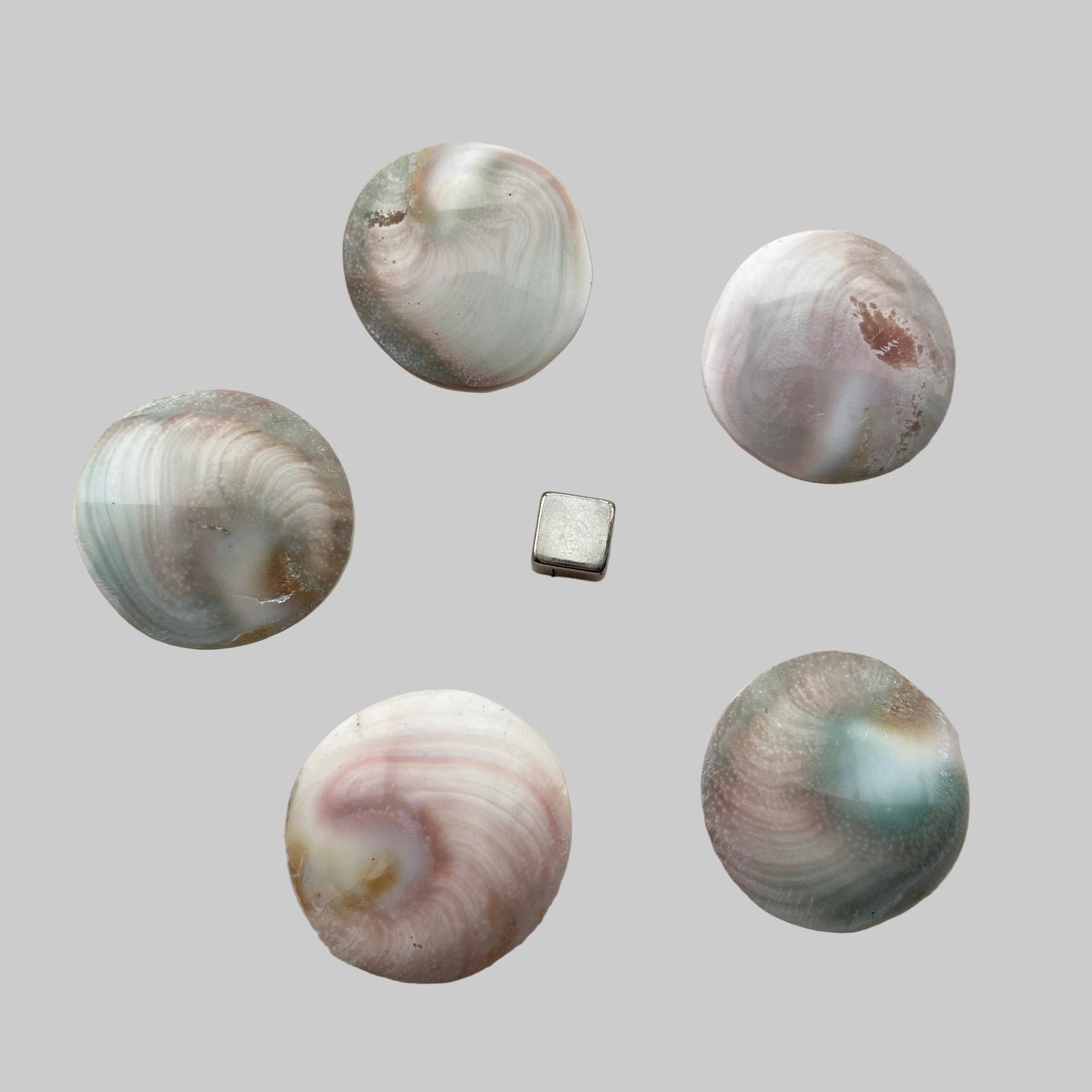 Shivas Øje sten med naturlig spiral og stærk beskyttende energi.