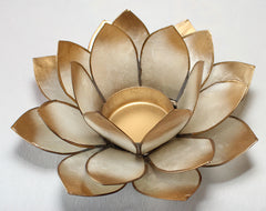 Lotus stage - Crown chakra