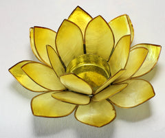 Lotus stage - Solar plexus chakra