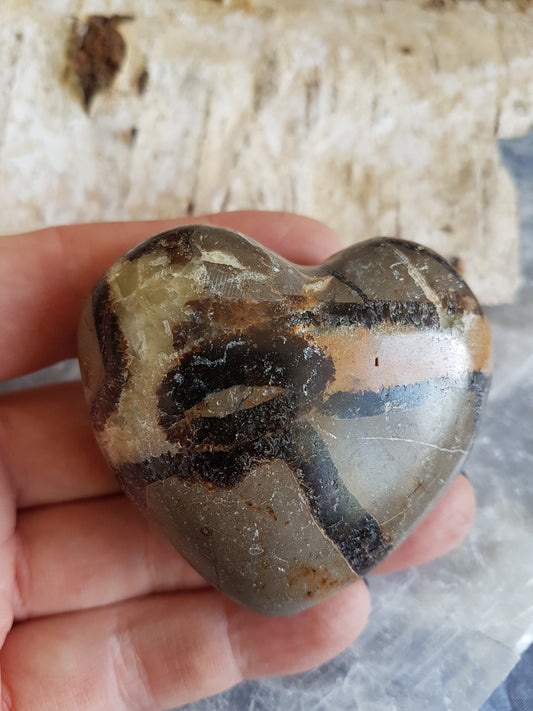 Septaria heart 