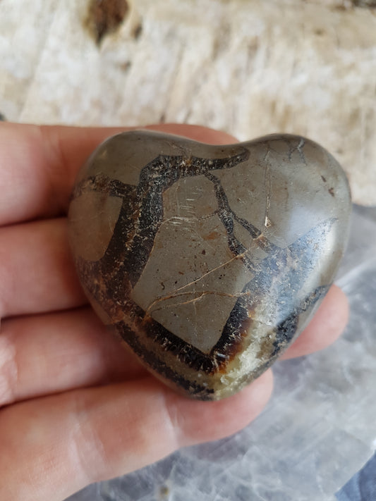 Septaria heart 