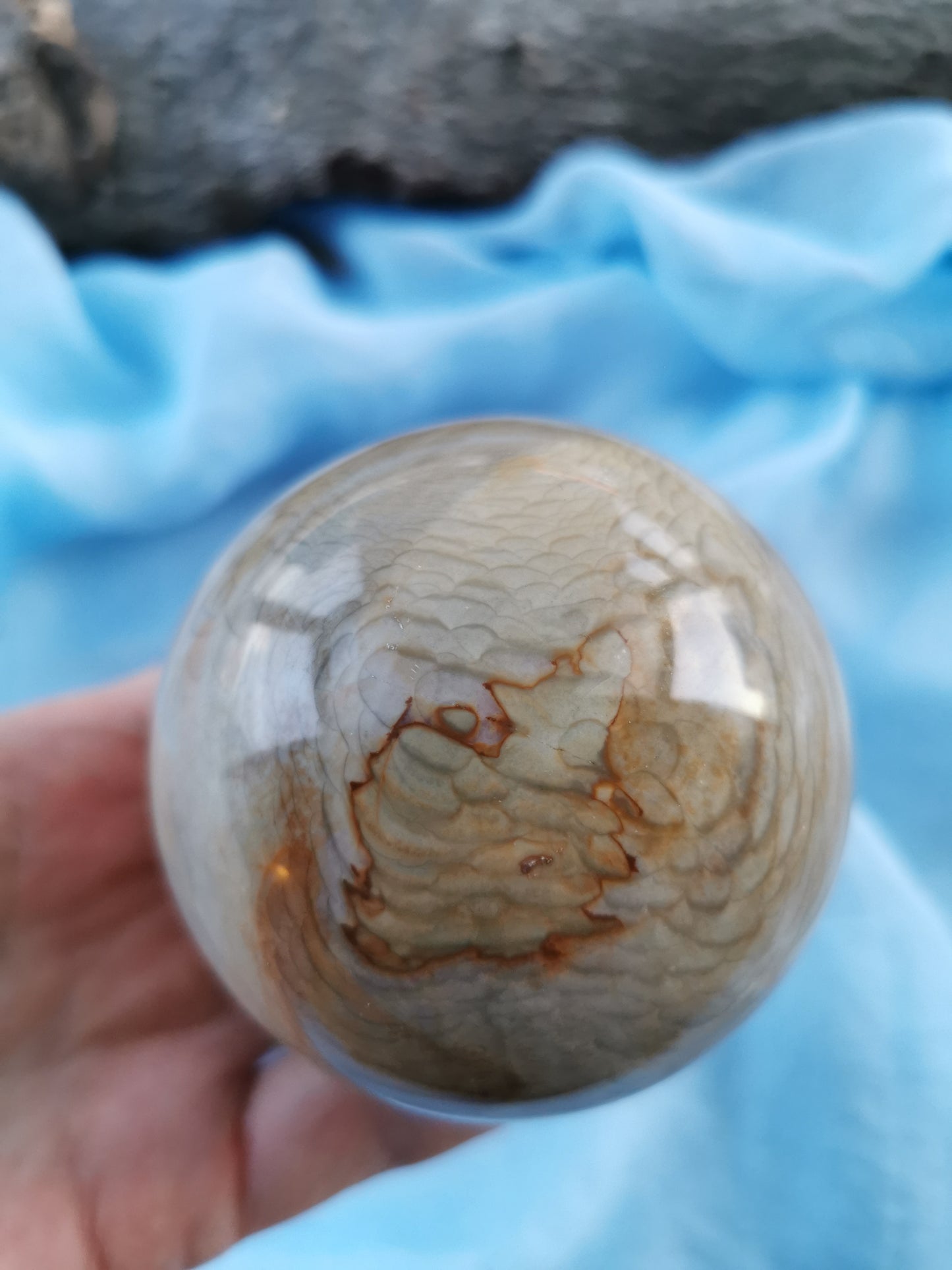 Jasper sea ball