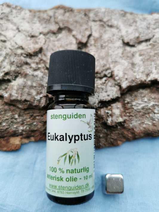 Æterisk olie Eukalyptus