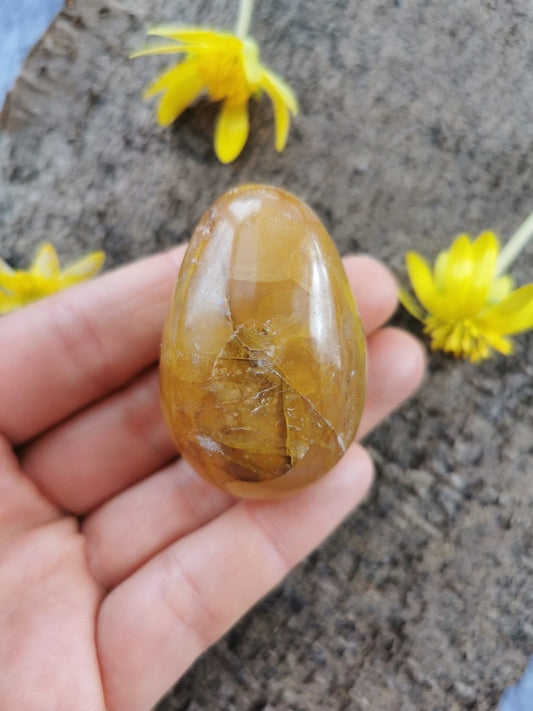 Golden Healer Æg