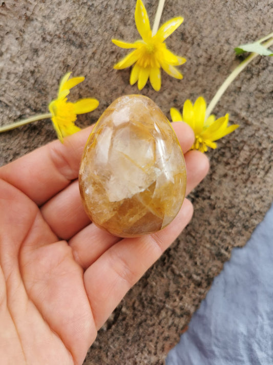 Golden Healer Æg