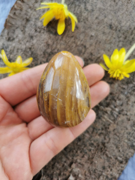 Golden Healer Æg