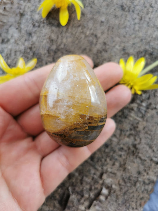 Golden Healer Æg
