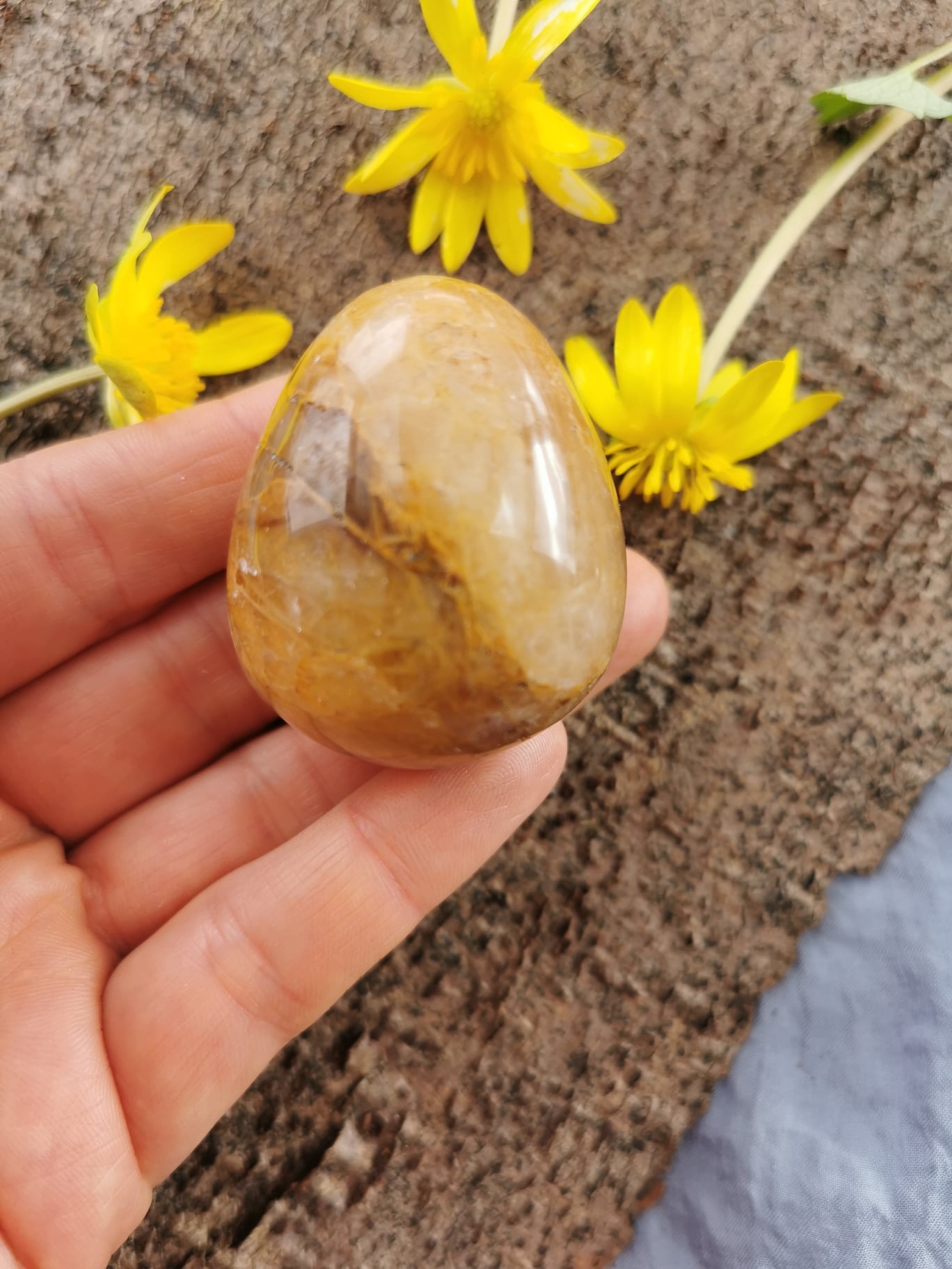 Golden Healer Æg
