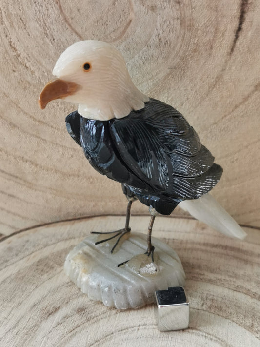 Onyx ørn