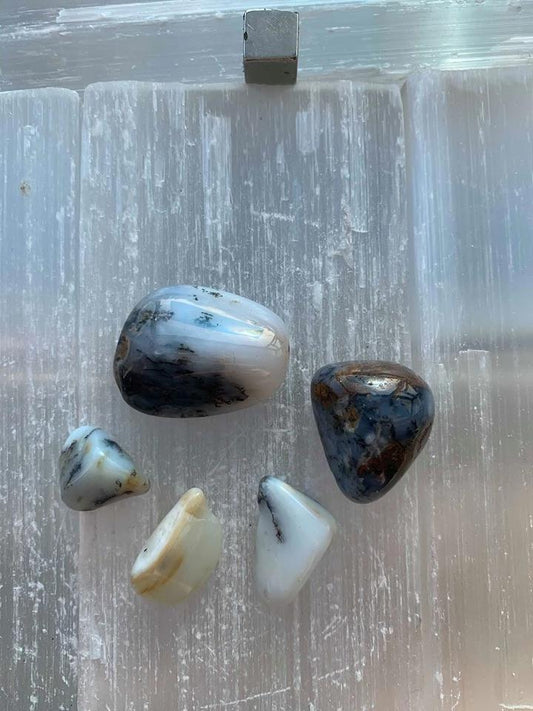 Chalcedon Dendrit