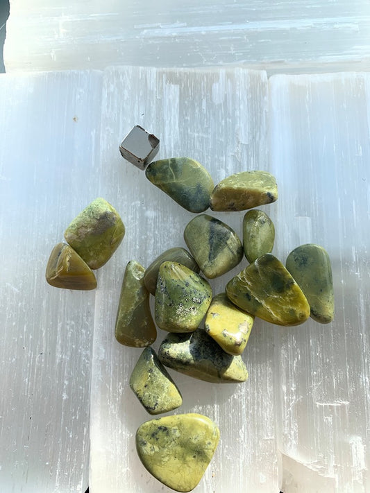 Jade Peru Lizardid