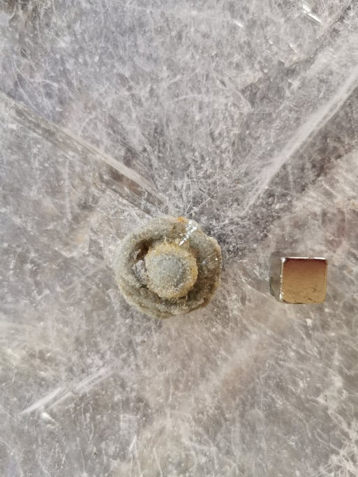 Chalcedon Rose