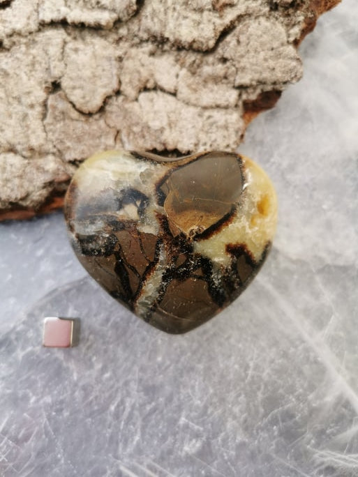 Septarie Hjerte