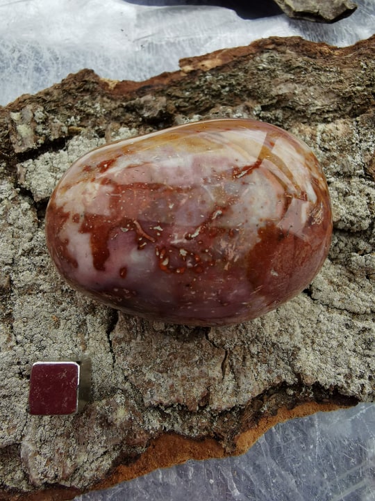 Jaspis Polycrome Jumbo stone