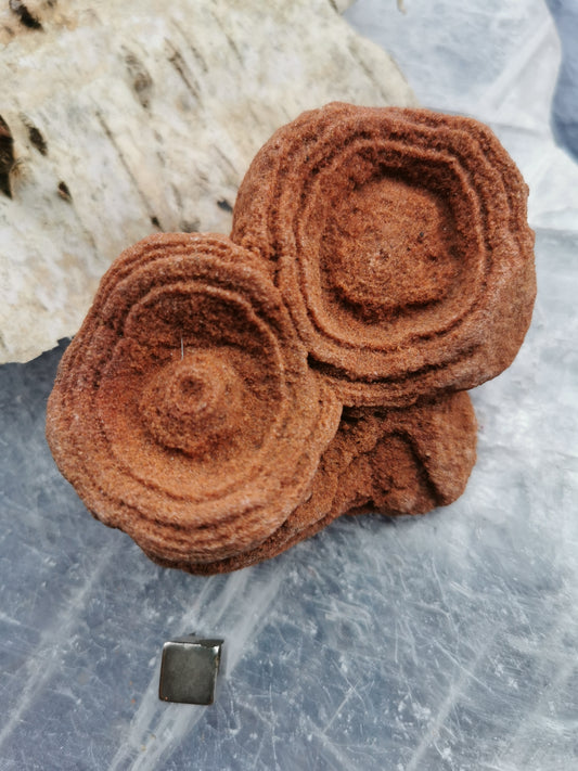 Baryt Rose