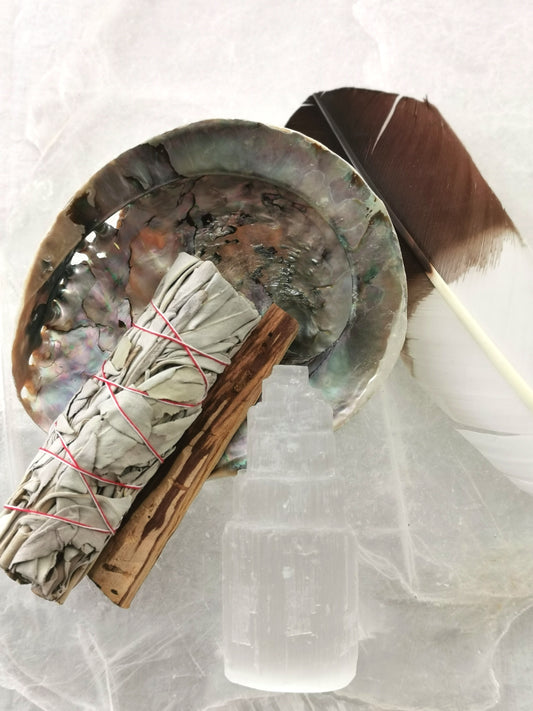 Beskyttelses- og Rensekit