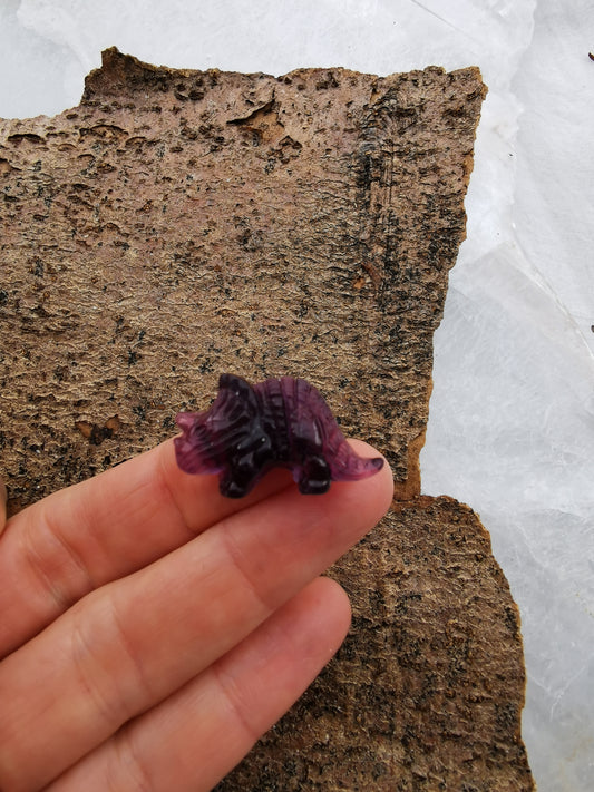 Dinosaur Flourite Purple