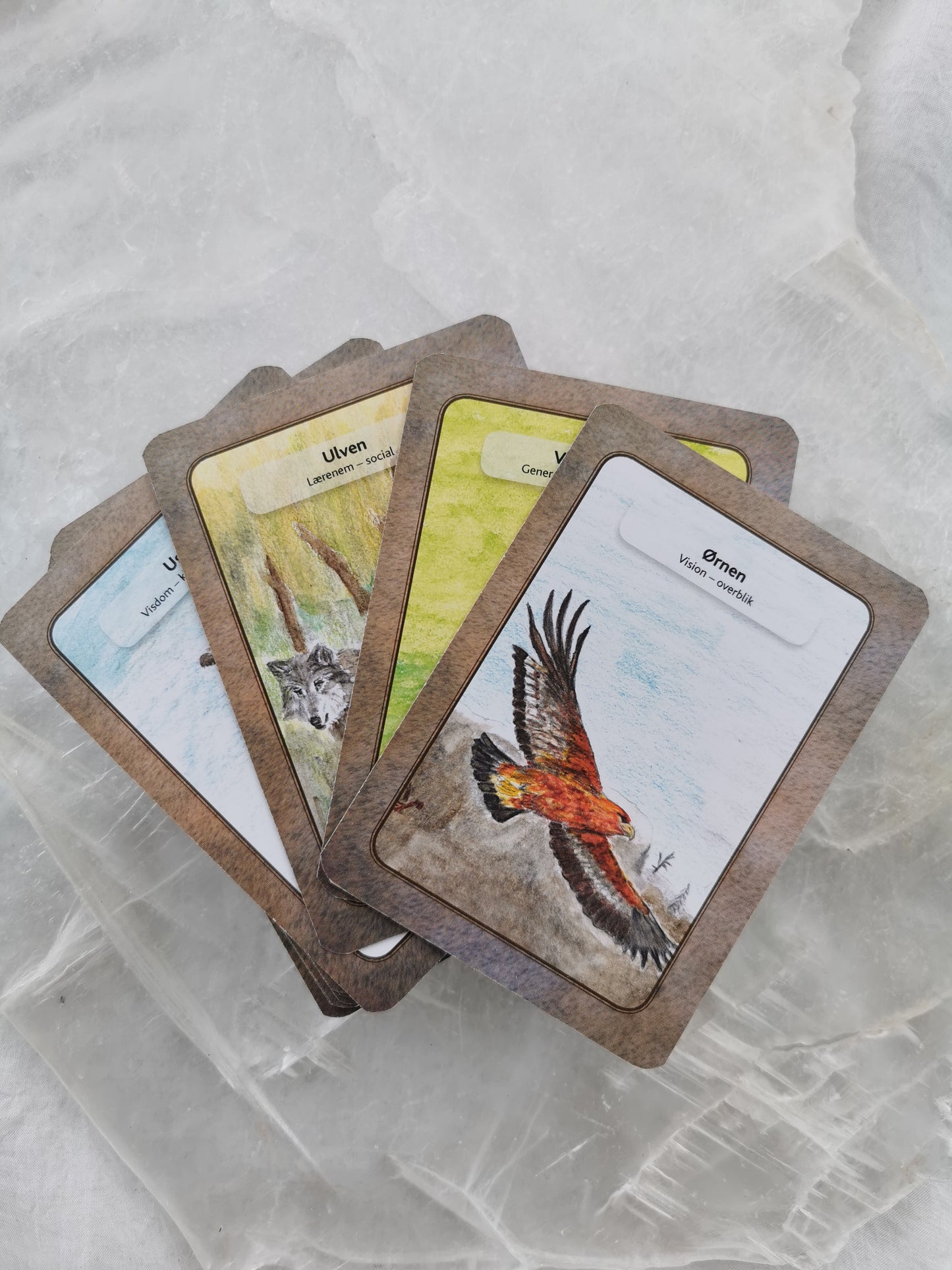 'Tromborgs Dyrekort' - Johnny Tromborg (m/ beskrivelsesbog)