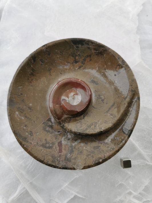 Ammonite Bowl - good price!