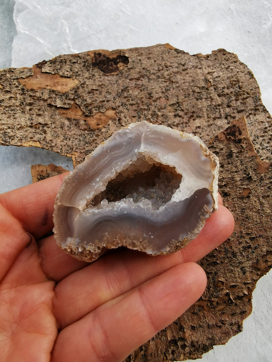 Agate Geode Nature