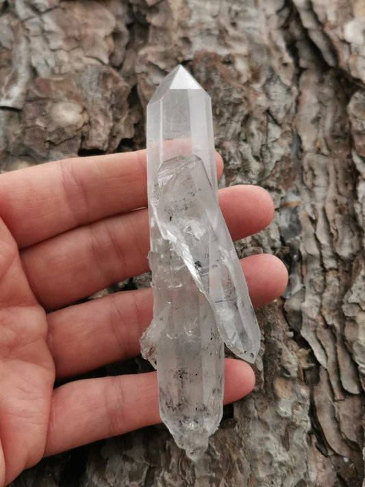 Herkimer Dobbelttermineret