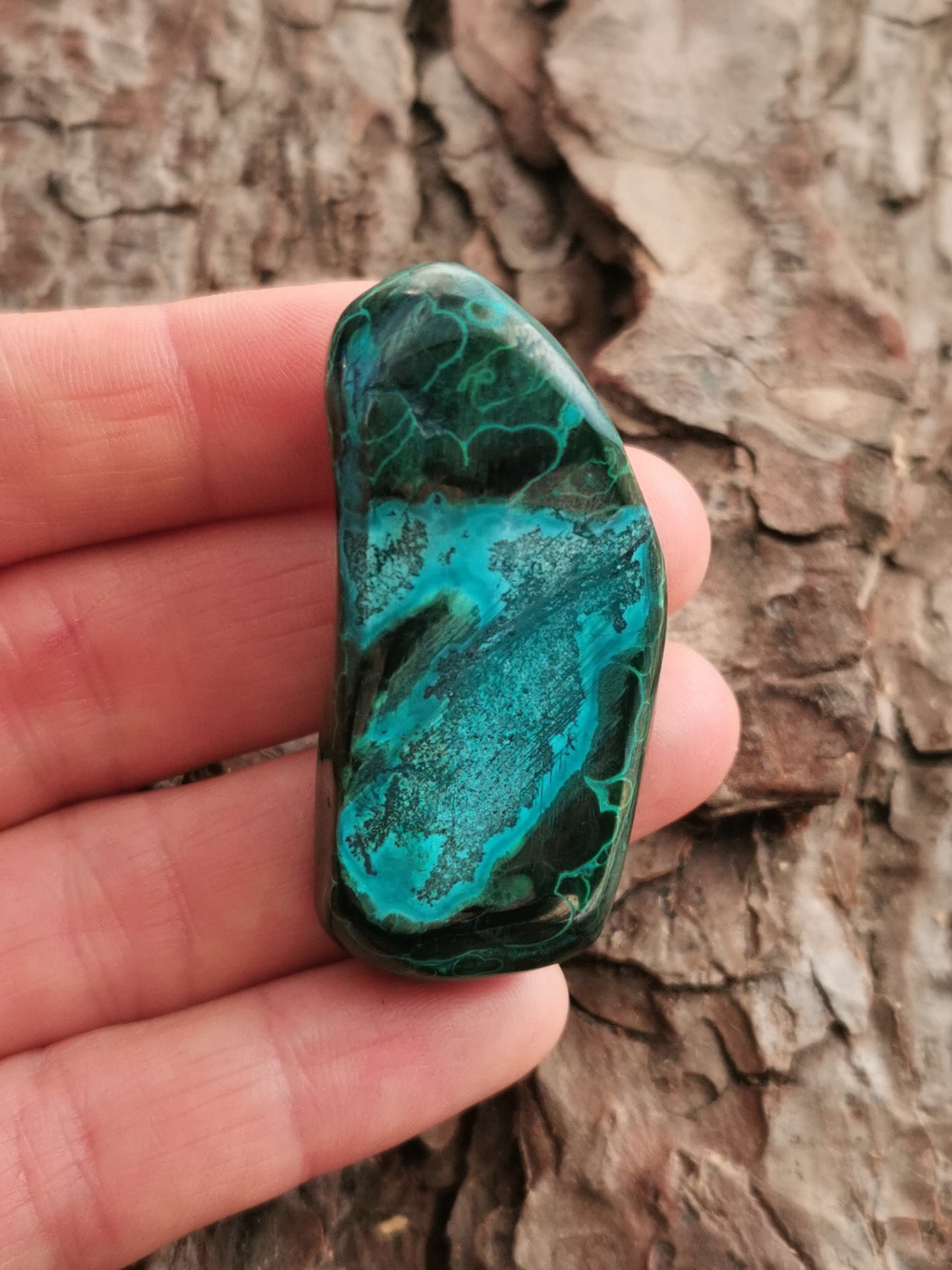 Malakit m/Chrysocolla