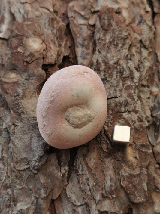 Gogotte/Sandstone